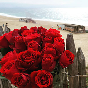 bouquet roses rouges blockhaus plage